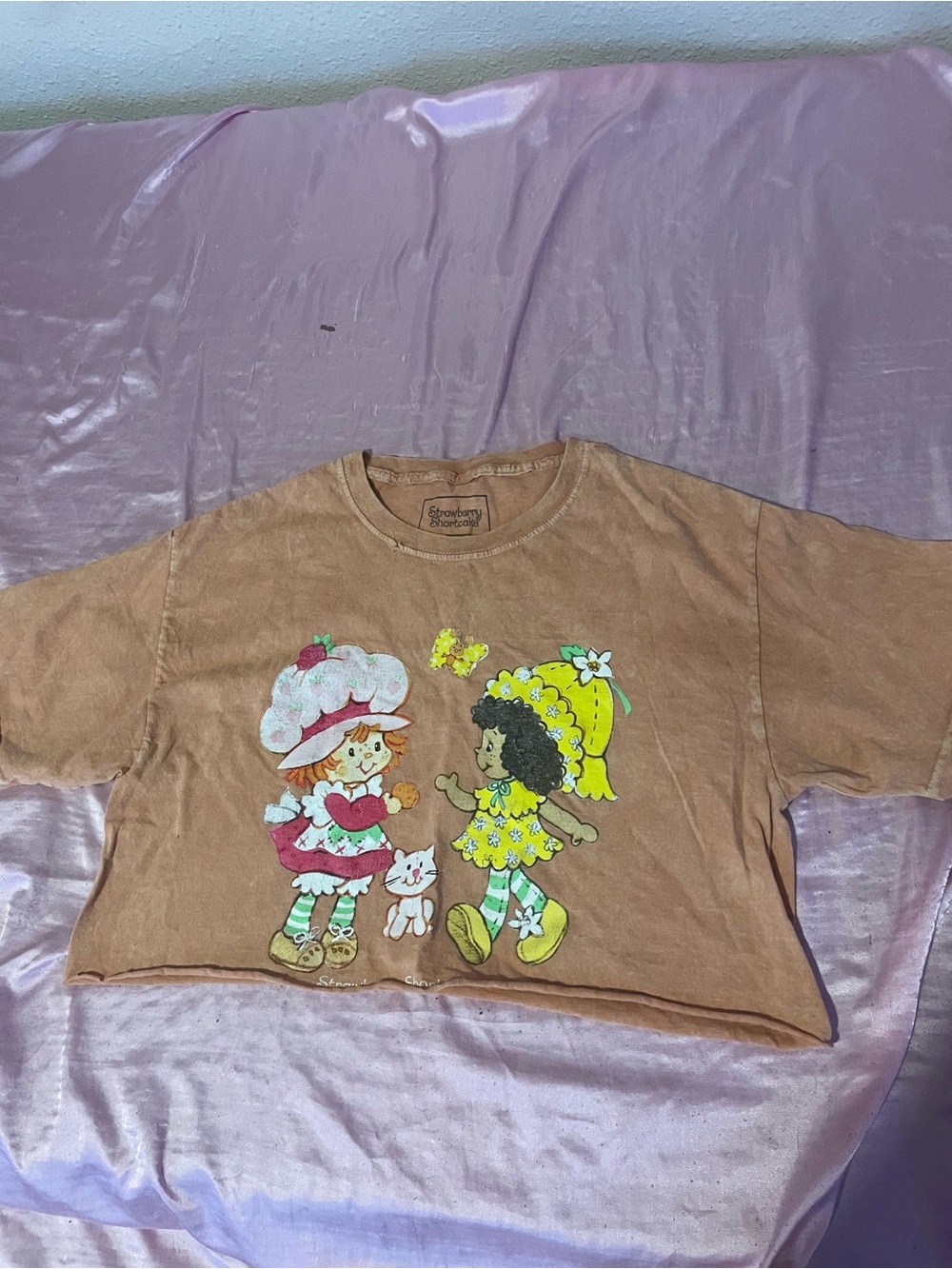 Girls' Vintage-Style Strawberry Shortcake Graphic Tee - Brown
